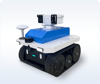 Track inspection robot