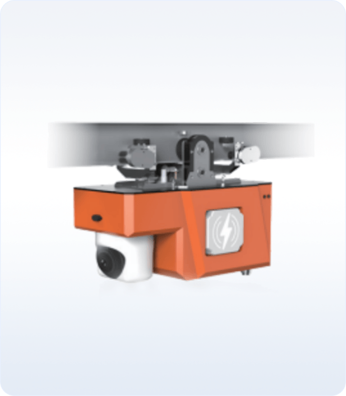 Rail-mounted inspection robot
